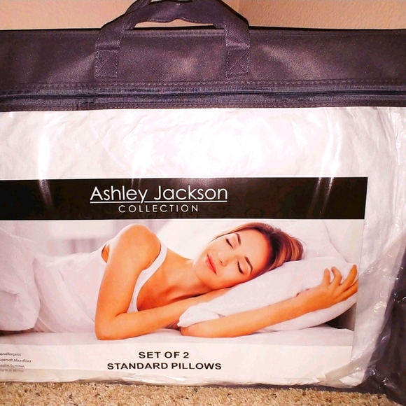 Ashley Jackson Collection of 2 Pillows - Picture 1 of 1